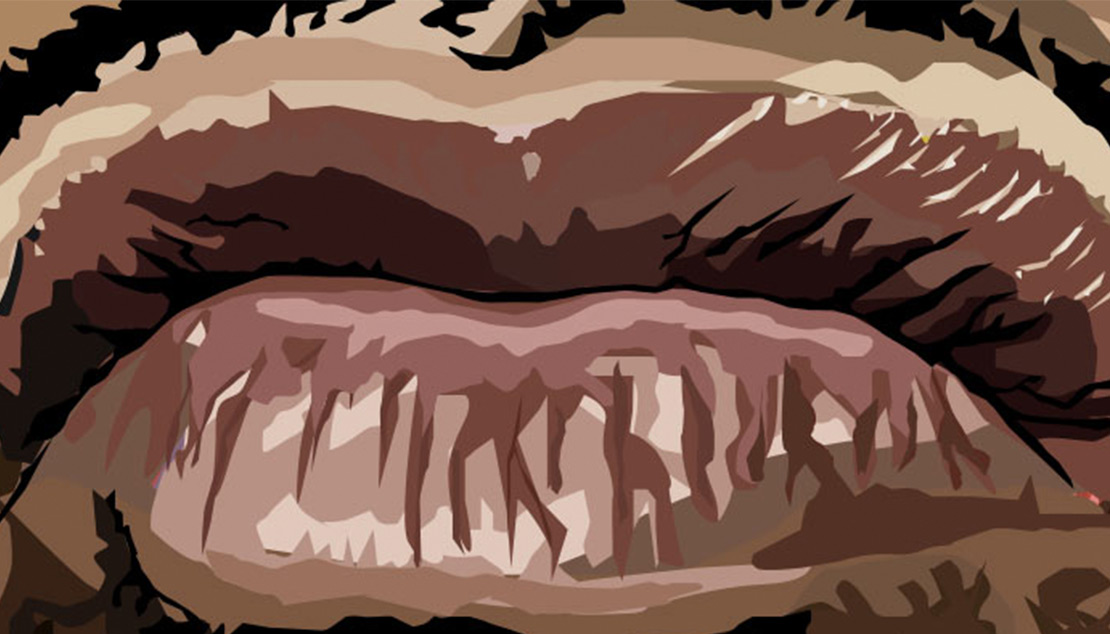 Redman vector illustration lips detail